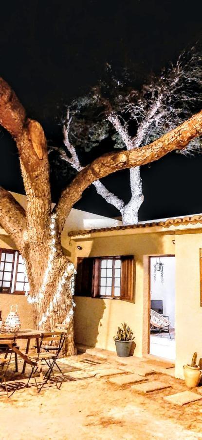 Beach Tree House Porto Santo Exterior foto